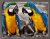 Rama-Szary-grafit-Artimento-2.png