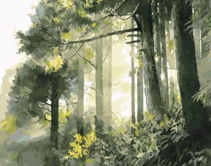 Poranny las - 50x65 cm