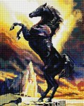 Zorro