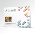Artimento_Dumny lampart_o.png