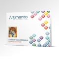 Artimento_Jesienne kwiaty_o.jpg