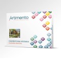 Artimento_Willa pod górami_o.jpg