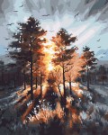 Las w słońcu - 50x65 cm