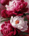 Artimento_Różowe piwonie.jpg
